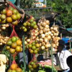 Feria-aserrí