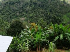 A la venta hermosa propiedad en Las Vegas de Acosta