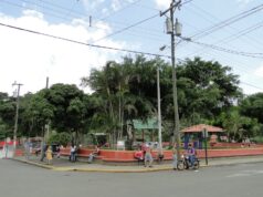 El palo de mango y el poyo en el parque de Acosta