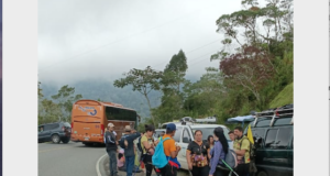 Más de 800 romeros de Pérez Zeledón